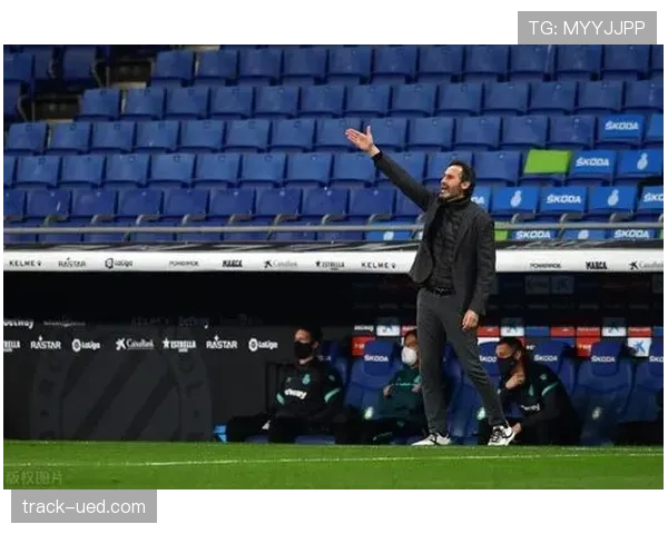 为何特罗萨德长期被忽视？效率型前锋的真实价值