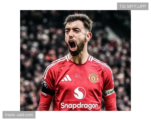 布鲁诺·费尔南德斯体系依赖性与角色价值分析